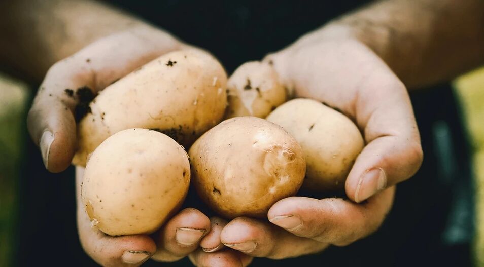 Krompir pozitivno vpliva na zdravje moških